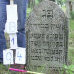 B01.04 Feiga Pasa Vater: Zerach Moshe