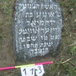 113 woman Sara (or Sheindel)-Itte daughter of Yerachmiel LEISEROVITSH 