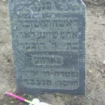 126 lady Sheinele,daughter of Reb Dov-Ber Padve