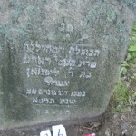 236 virgin Pessie-Rada,daughter of Reb Lipman OMRUD(?)