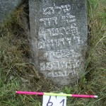 61 Shalom, son of Reb David