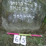 65 Reb Yidel, son of Reb Shelomoh