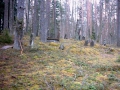 Slide16