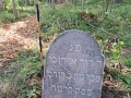 B3