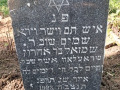 A1
