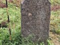 Stein-J6