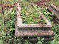Stein-J7